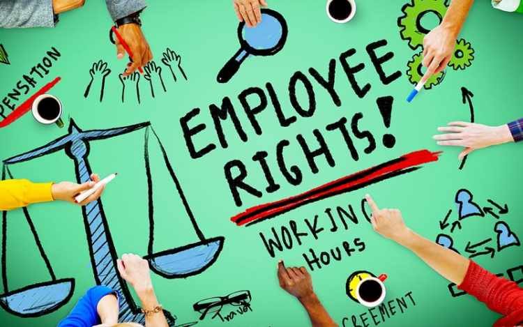 Was sind Ihre Rechte als Arbeitnehmer?
