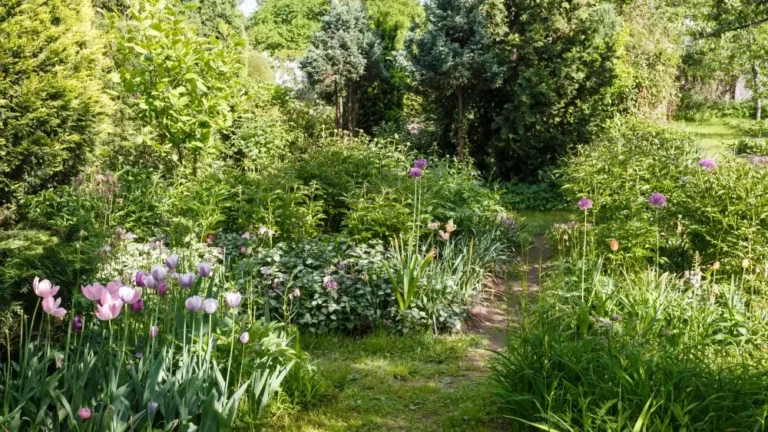 The 5 best garden clearance services in Heidelberg – removing overgrowth and unwanted outdoor waste